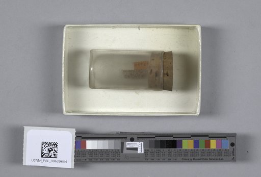 NSF ADBC EPICC TCN