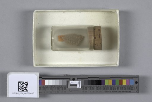 NSF ADBC EPICC TCN