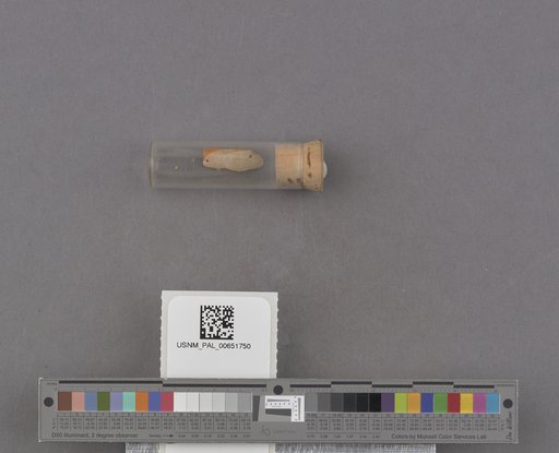 NSF ADBC EPICC TCN