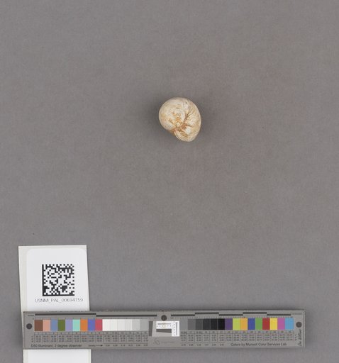 NSF ADBC EPICC TCN