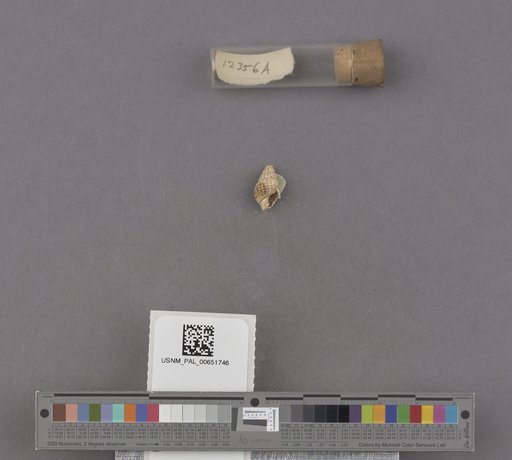 NSF ADBC EPICC TCN