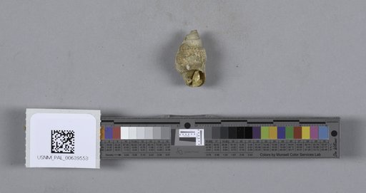 NSF ADBC EPICC TCN