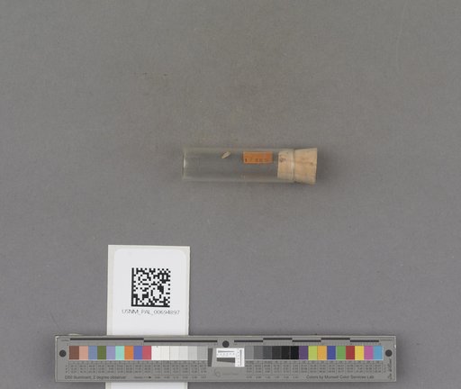 NSF ADBC EPICC TCN
