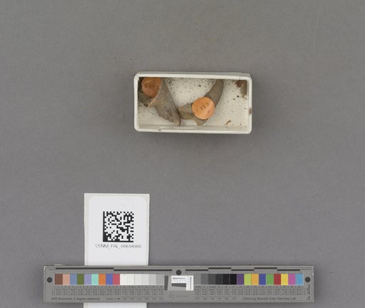 NSF ADBC EPICC TCN
