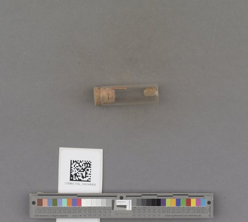 NSF ADBC EPICC TCN