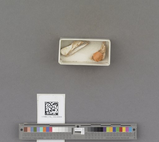 NSF ADBC EPICC TCN