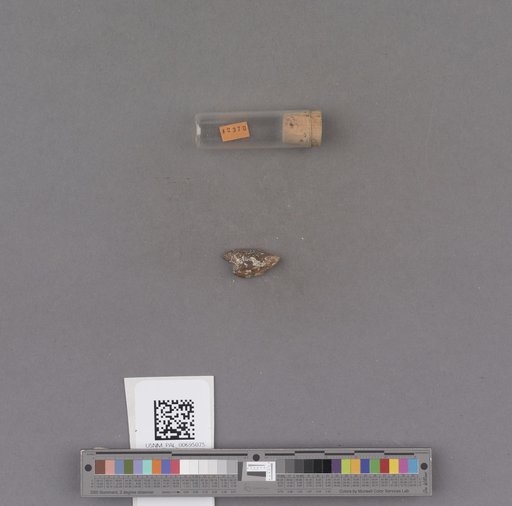 NSF ADBC EPICC TCN