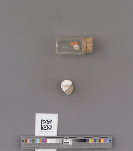 NSF ADBC EPICC TCN