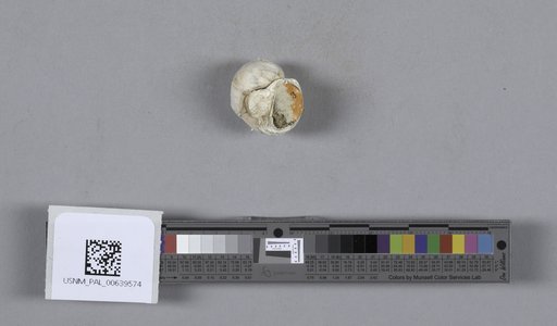 NSF ADBC EPICC TCN