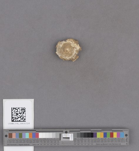 NSF ADBC EPICC TCN