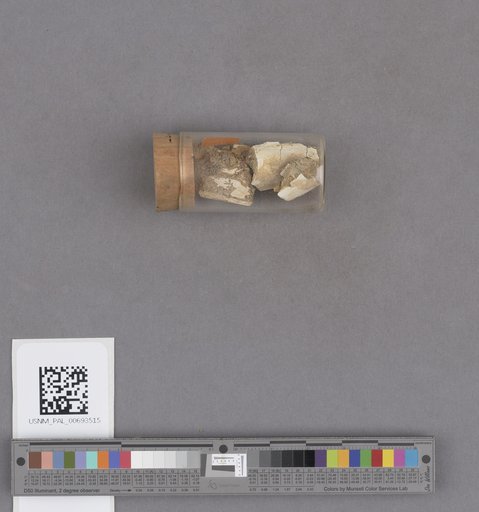 NSF ADBC EPICC TCN