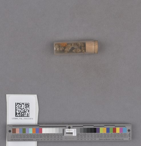 NSF ADBC EPICC TCN