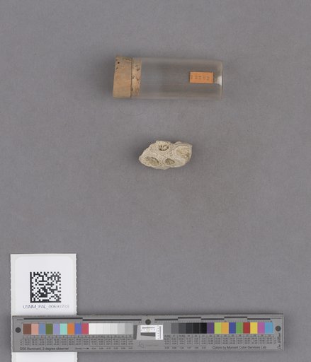 NSF ADBC EPICC TCN