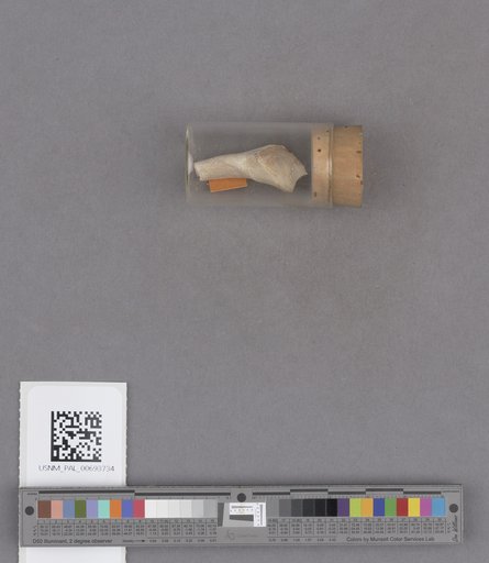 NSF ADBC EPICC TCN