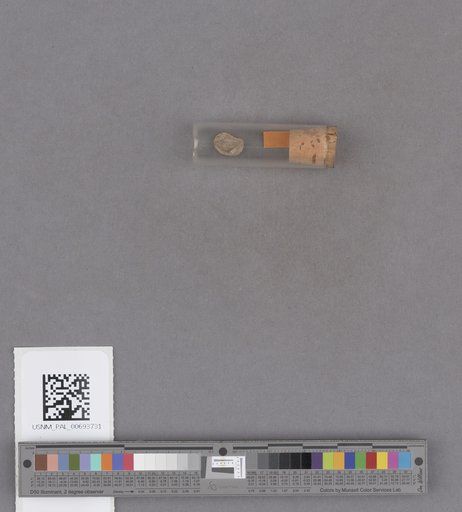 NSF ADBC EPICC TCN