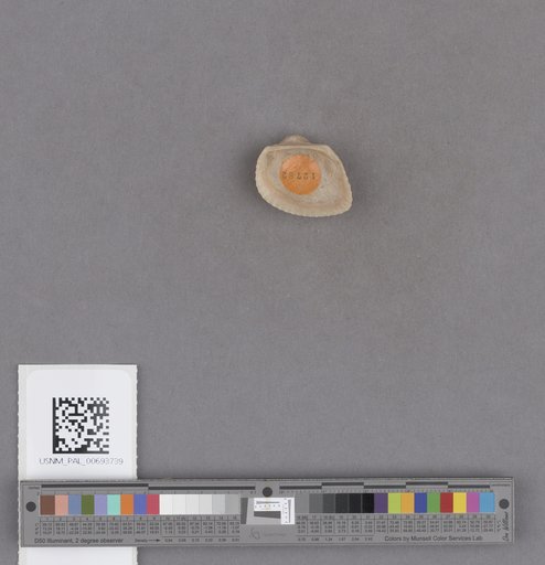 NSF ADBC EPICC TCN