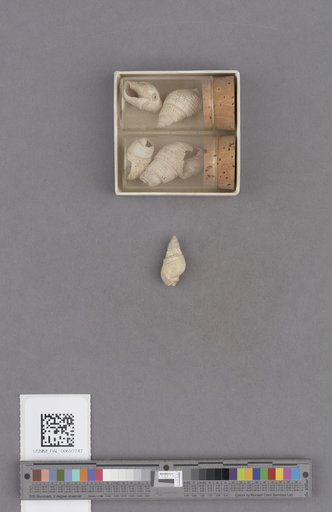 NSF ADBC EPICC TCN