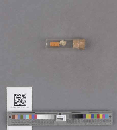 NSF ADBC EPICC TCN