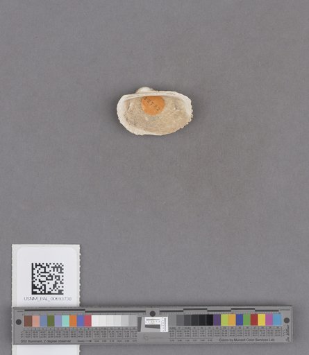 NSF ADBC EPICC TCN