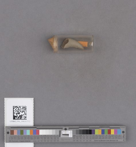 NSF ADBC EPICC TCN