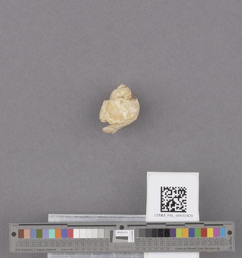 NSF ADBC EPICC TCN