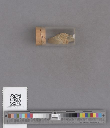 NSF ADBC EPICC TCN