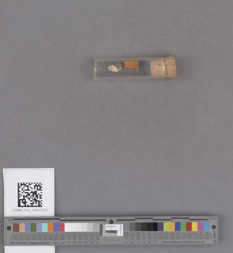 NSF ADBC EPICC TCN