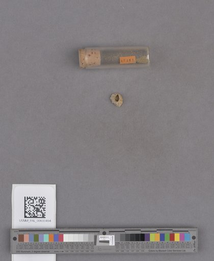 NSF ADBC EPICC TCN