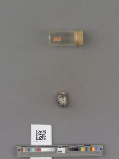 NSF ADBC EPICC TCN