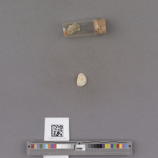 NSF ADBC EPICC TCN