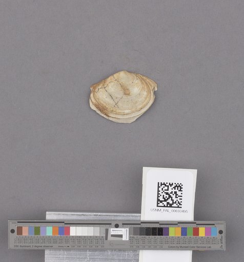 NSF ADBC EPICC TCN