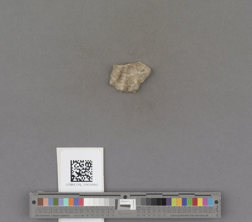 NSF ADBC EPICC TCN