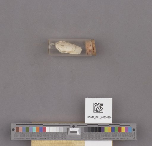 NSF ADBC EPICC TCN