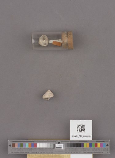 NSF ADBC EPICC TCN