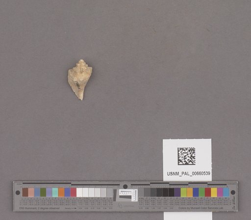 NSF ADBC EPICC TCN