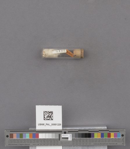 NSF ADBC EPICC TCN