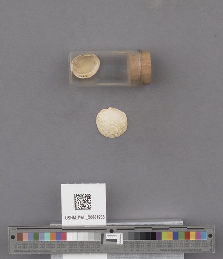 NSF ADBC EPICC TCN
