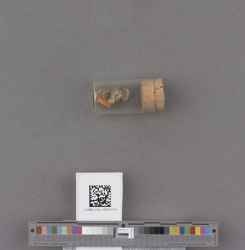 NSF ADBC EPICC TCN