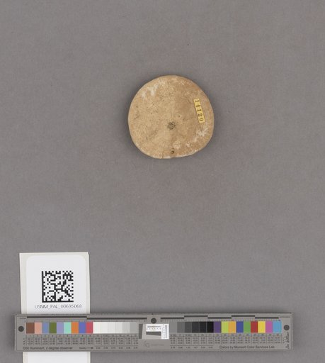 NSF ADBC EPICC TCN