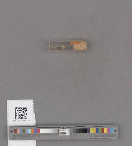 NSF ADBC EPICC TCN