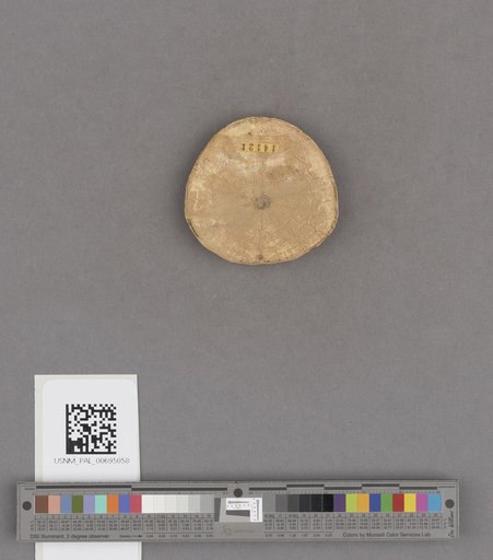NSF ADBC EPICC TCN