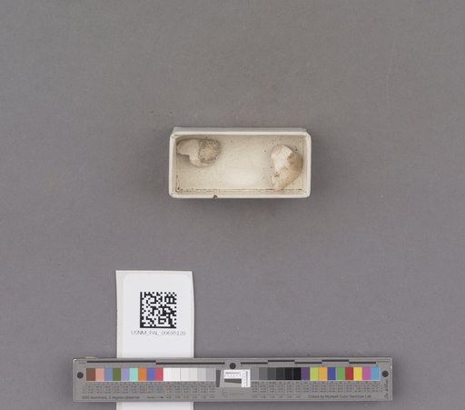 NSF ADBC EPICC TCN