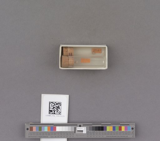 NSF ADBC EPICC TCN