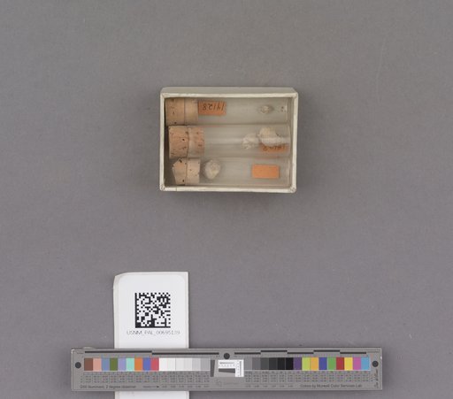 NSF ADBC EPICC TCN
