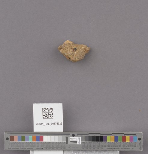 NSF ADBC EPICC TCN