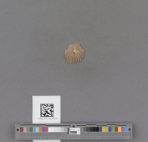 NSF ADBC EPICC TCN