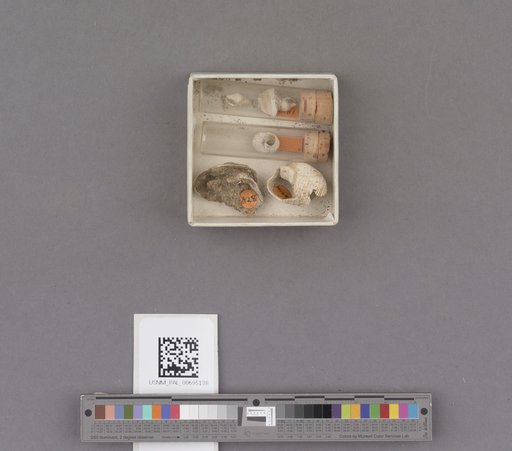 NSF ADBC EPICC TCN