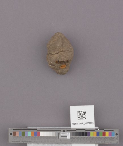 NSF ADBC EPICC TCN