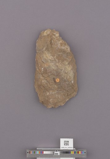 NSF ADBC EPICC TCN