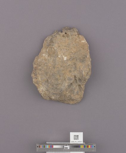 NSF ADBC EPICC TCN